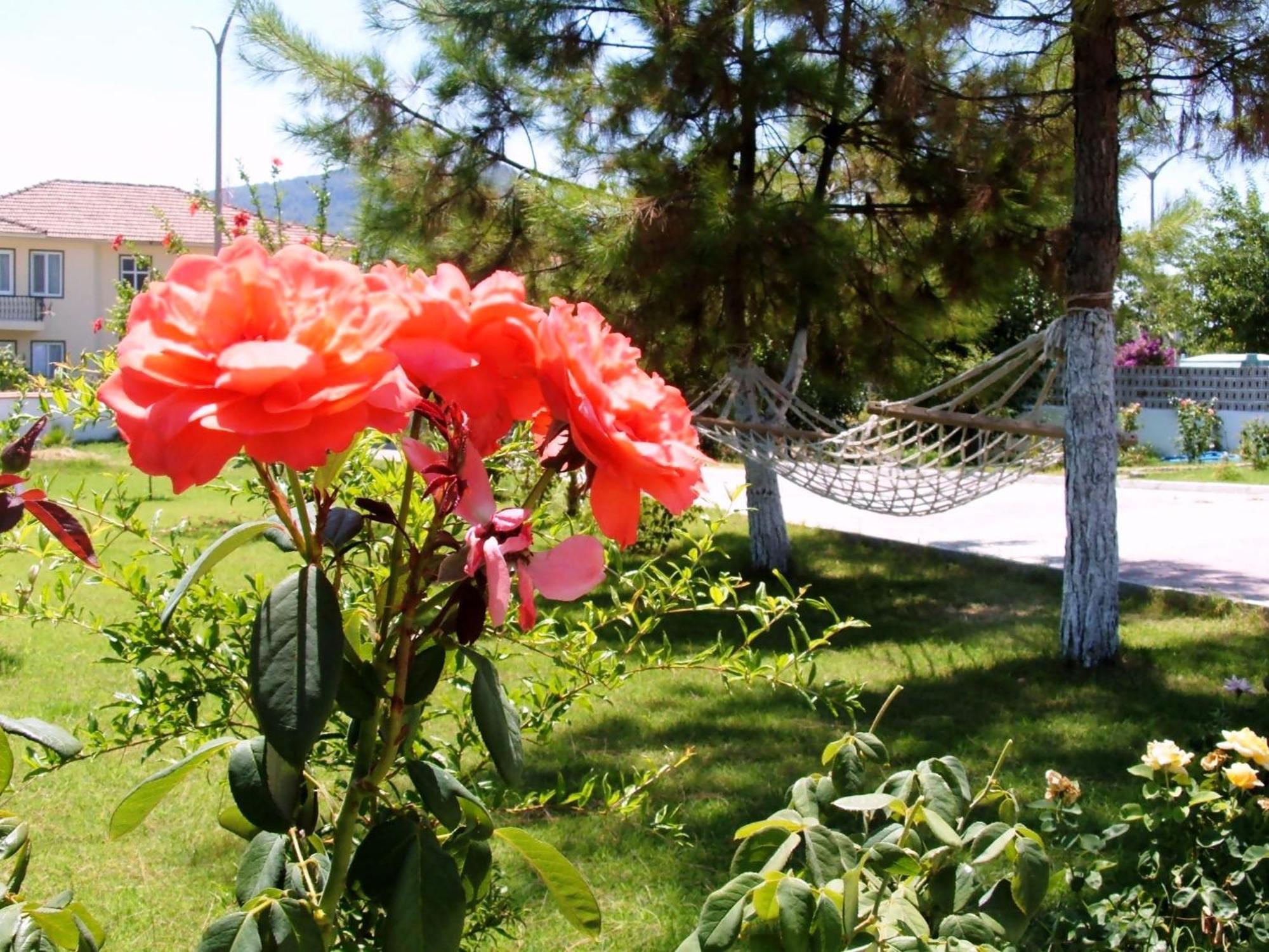 Gurkan Apart Hotel Dalyan Zewnętrze zdjęcie