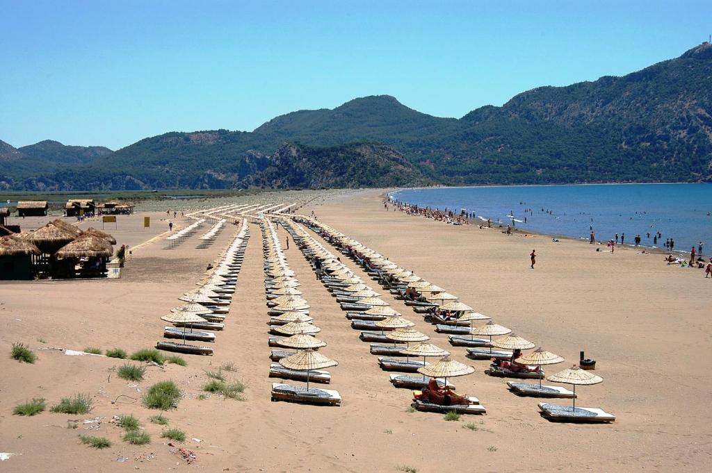 Gurkan Apart Hotel Dalyan Zewnętrze zdjęcie